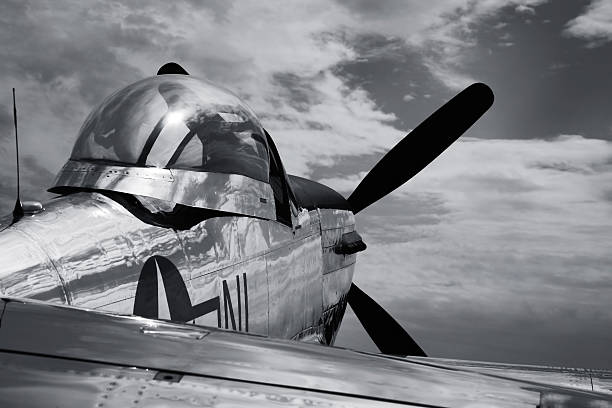 빈티지 mustang p51 비행기 wwii-b & w - vertical stabilizer transportation old fashioned metal 뉴스 사진 이미지