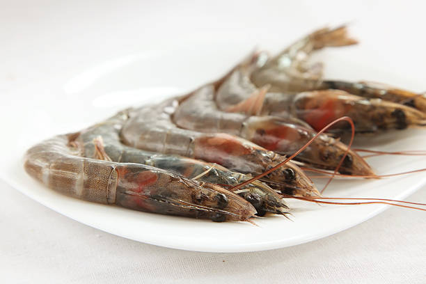 3,000+ Shrimp With Head Stock Photos, Pictures & Royalty-Free Images ...
