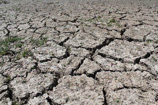 Close up of dry mud with a few patches of green grass