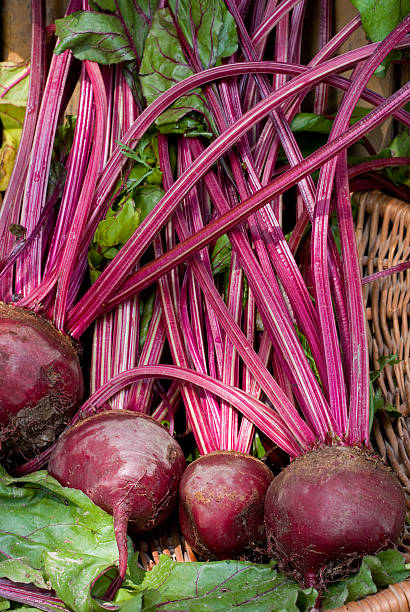 beetroot stock photo