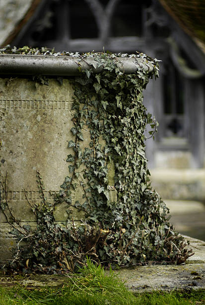 Gothic Churchyard tomb and ivy 2 stock photo