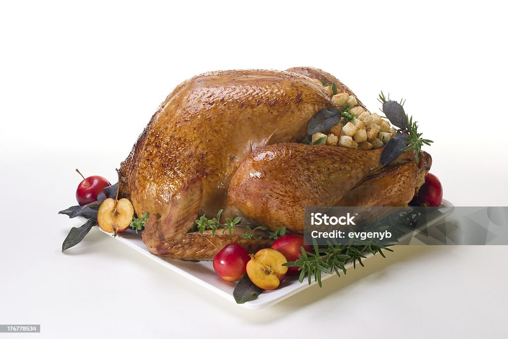 Holiday Turquía sobre blanco - Foto de stock de Alimento libre de derechos