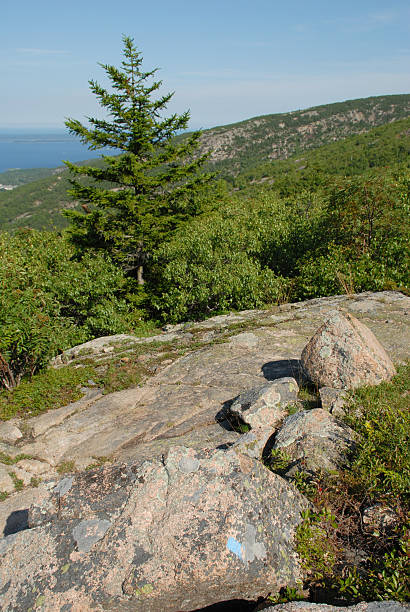 istock Acadia National Park crosses granite ledges 176778915
