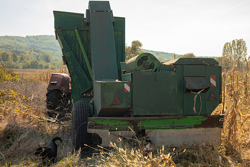 Agricultural machine corn picker, corn harvest