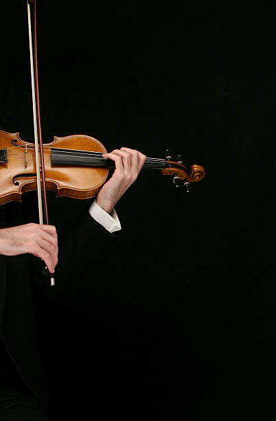 violine - concertmaster stock-fotos und bilder