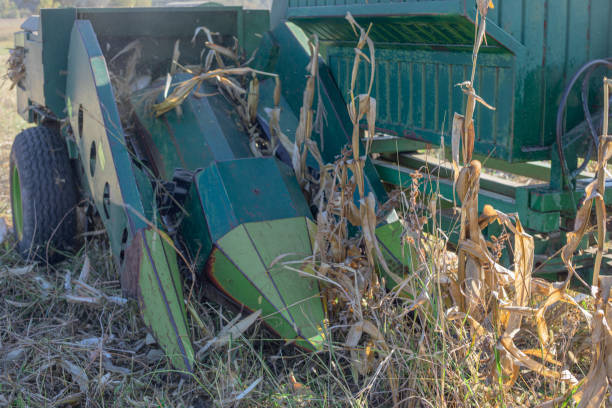 Corn harvest, combine harvester in the field