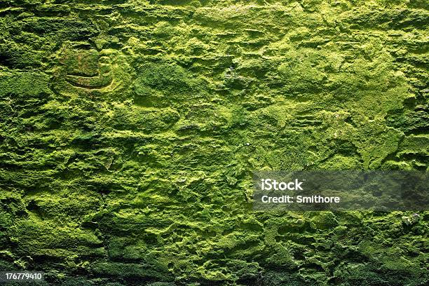 石の壁とモスグリーン - クローズアップのストックフォトや画像を多数ご用意 - クローズアップ, コケ, スクラッチ