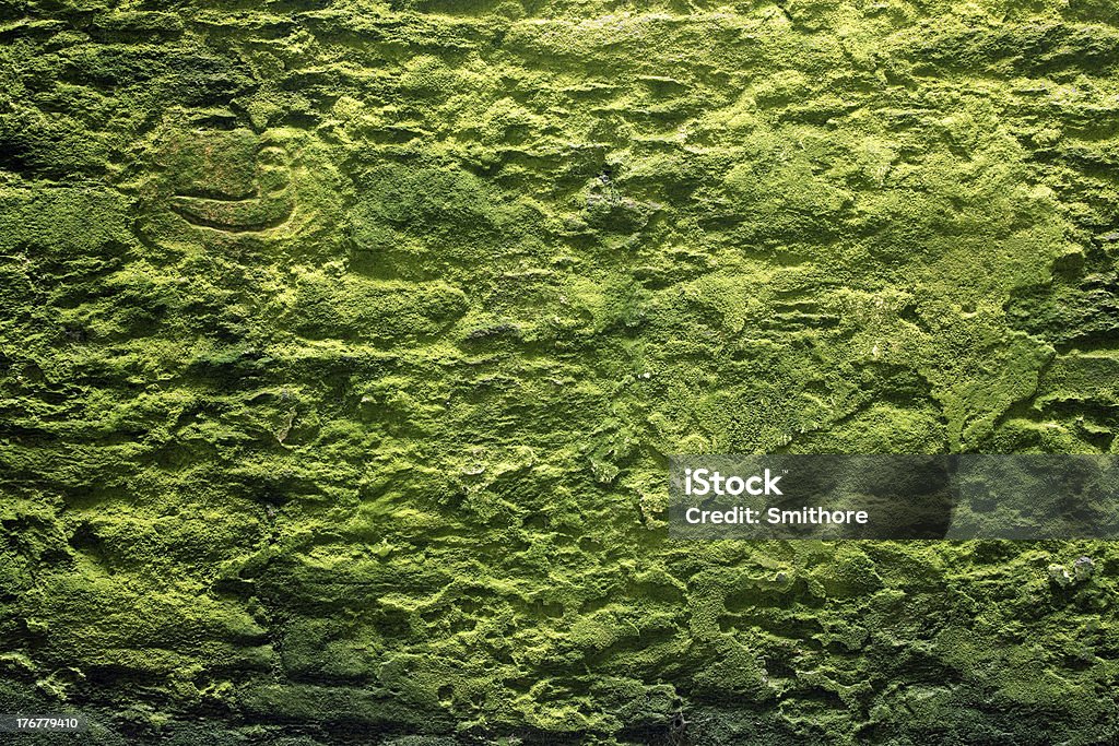 stone wall and moss old stone wall with vivid moss Abstract Stock Photo