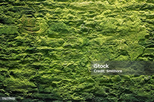 Stone Wall And Moss Stock Photo - Download Image Now - Abstract, Ancient, Architectural Feature