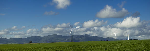 wind turbines stock photo