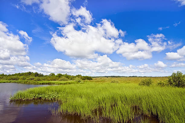 istock on the shores of Lake 176780102