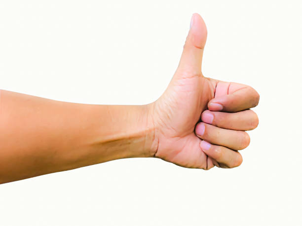 istock Raise your hands to express excellence, admiration, and success 1767801738
