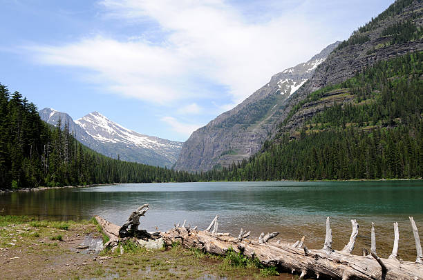 istock Avalanche Lake in Montana 176780959