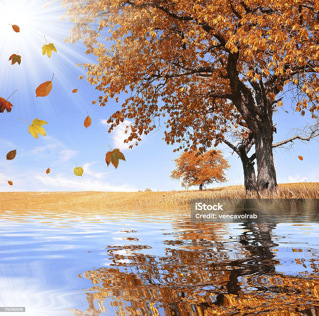 Paesaggio autunnale - Foto stock royalty-free di Albero