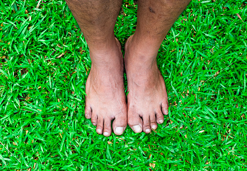 Two human feet standing on the green grass in a beautiful backyard