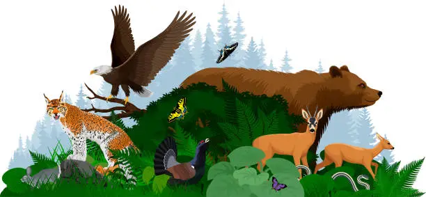 Vector illustration of Vector woodland forest illustration with animals