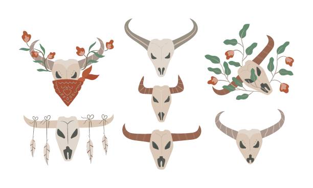 Hand drawn bogemian buffalo Skulls with flower foliage. Flat wild west cows. Hand drawn bogemian buffalo Skulls with flower foliage. Flat wild west cows cherokee clip art stock illustrations