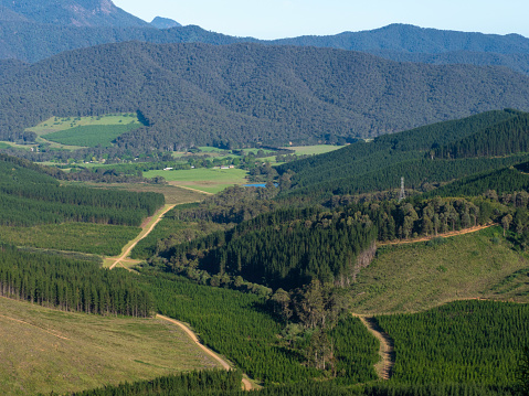 The Buckland valley in the High Country Victoria, with Mount Buffalo in the background