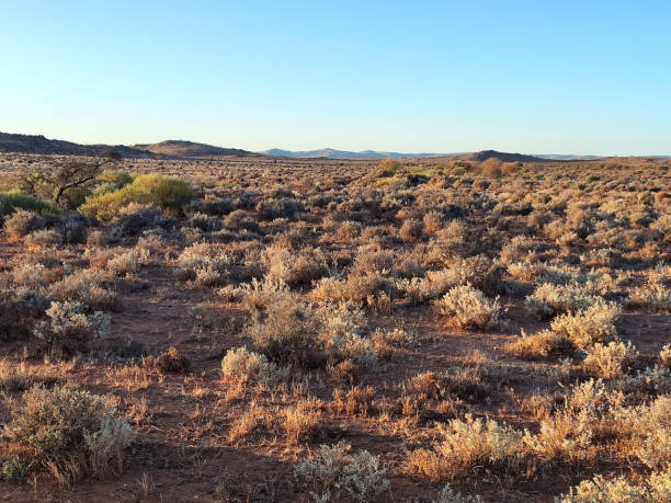 istock Desert landscape, Broken Hill, New South Wales 1767861658