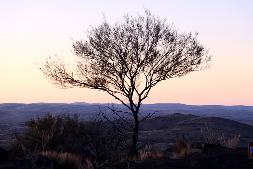 Landscape at The Living Desert State park near Broken Hill City, nestled amongst the Barrier Ranges.
On top of the highest hill inside the reserve are 12 sandstone sculptures, created in 1993 by a group of artists from all over the world, which are now one of the top attractions in Outback NSW.