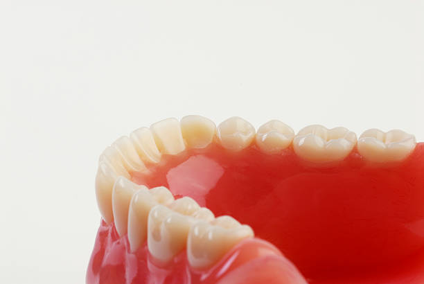 歯 3 - inscisor ストックフォトと画像