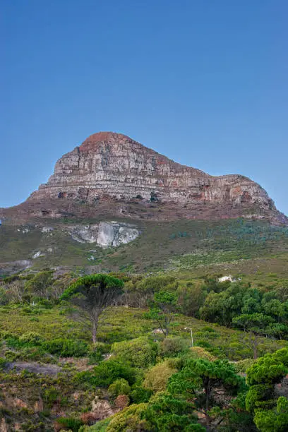 Cape Town, South Africa - A good view of the mountain peak known locally as the Lion's Head. Image shot in the late afternoon sunlight.