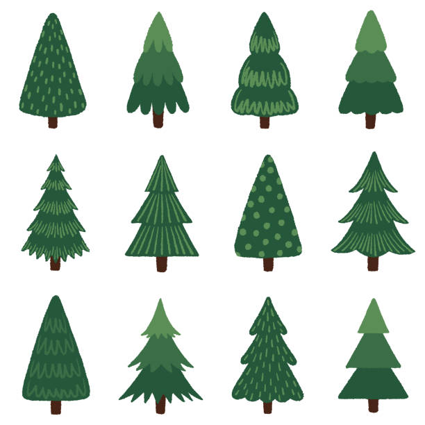 illustrations, cliparts, dessins animés et icônes de éléments de conception d’arbre de noël - sapin