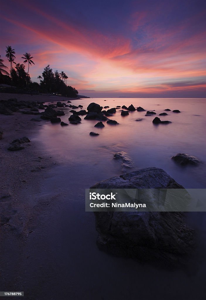 Koh Samui Island, Thailand "Sunset, palm trees and calm sea" Beach Stock Photo