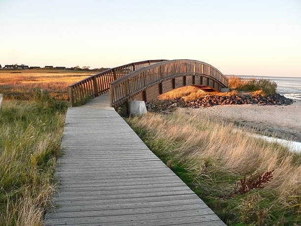 istock Beach with boardwalk in northern Germany  176789281