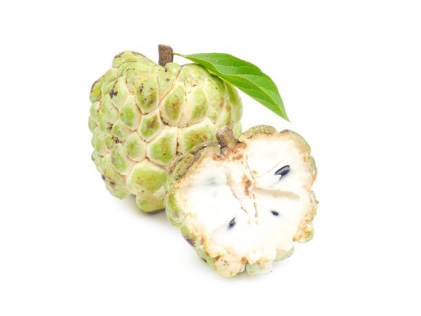 istock Fresh organic custard apples placed on a white background. 1767902656