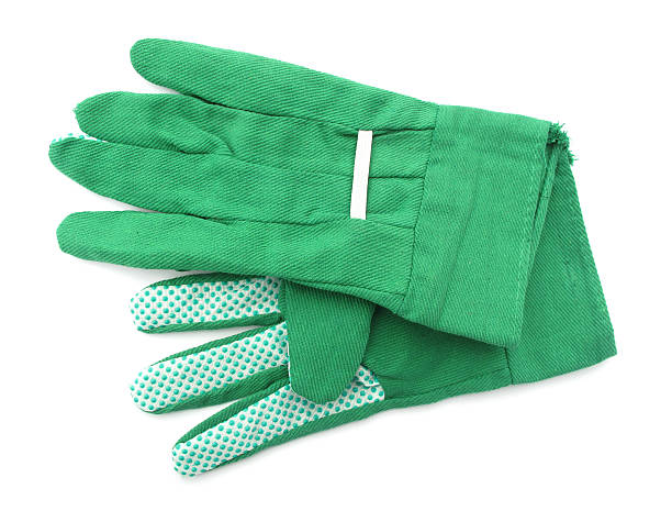 Garden gloves green stock photo