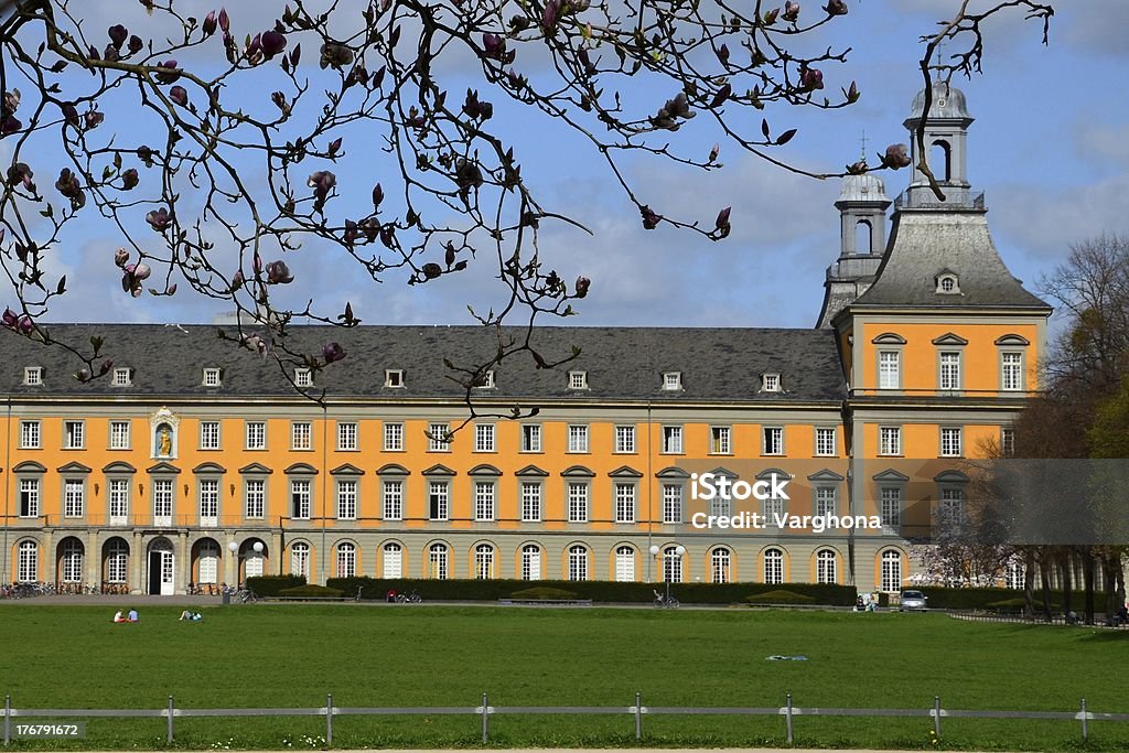 Università di Bonn - Foto stock royalty-free di Ambientazione esterna