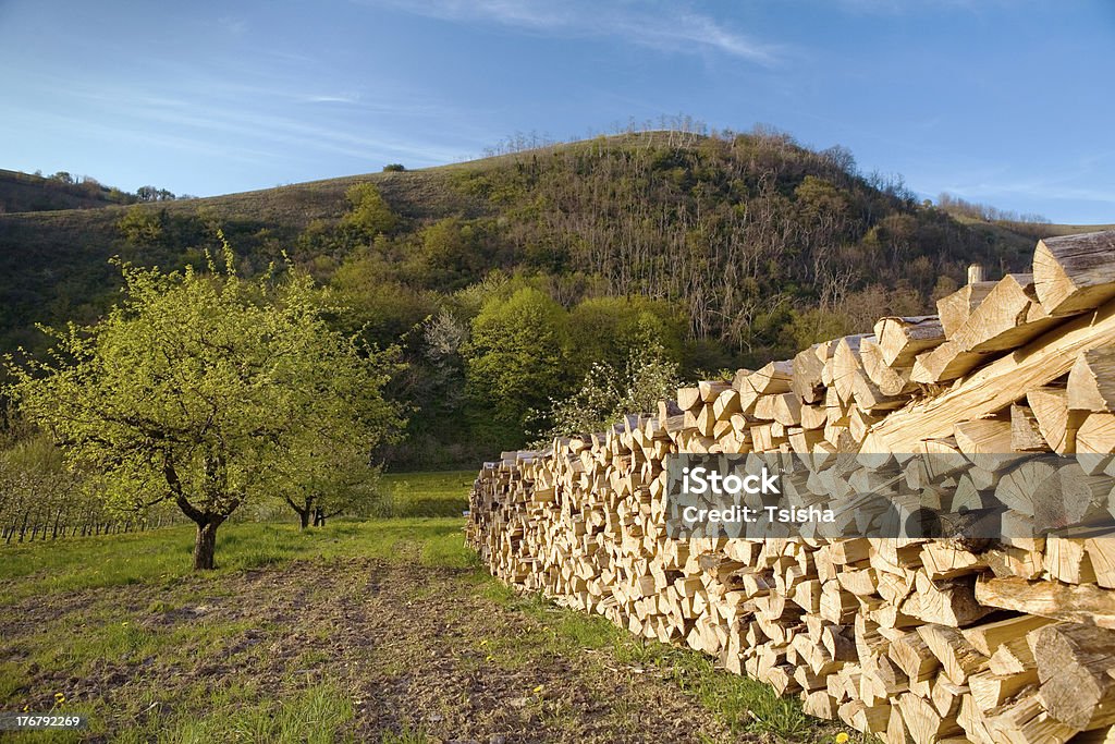 Spring, firewood, tree "FrAhling, firewood, tree" Agriculture Stock Photo