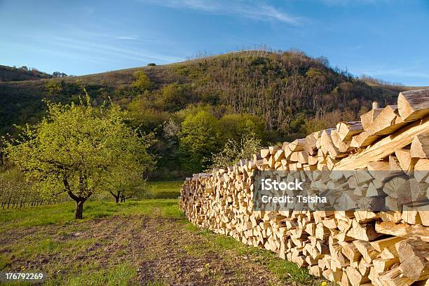 Spring Firewood Tree Stock Photo - Download Image Now - Agriculture, Baden-Württemberg, Dirt