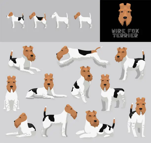 Vector illustration of Dog Wire Fox Terrier Cartoon Vector Illustration Color Variation Set Tricolor Coat