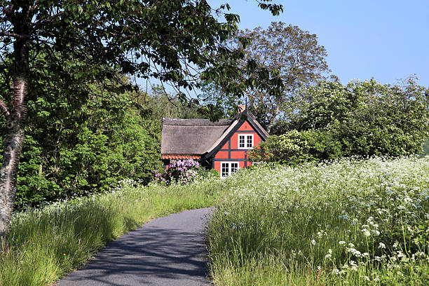 idílica roja vacaciones cabaña con cornejo meadow - denmark house cottage rural scene fotografías e imágenes de stock