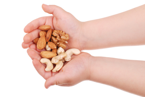 The children's hand holds nuts isolated
