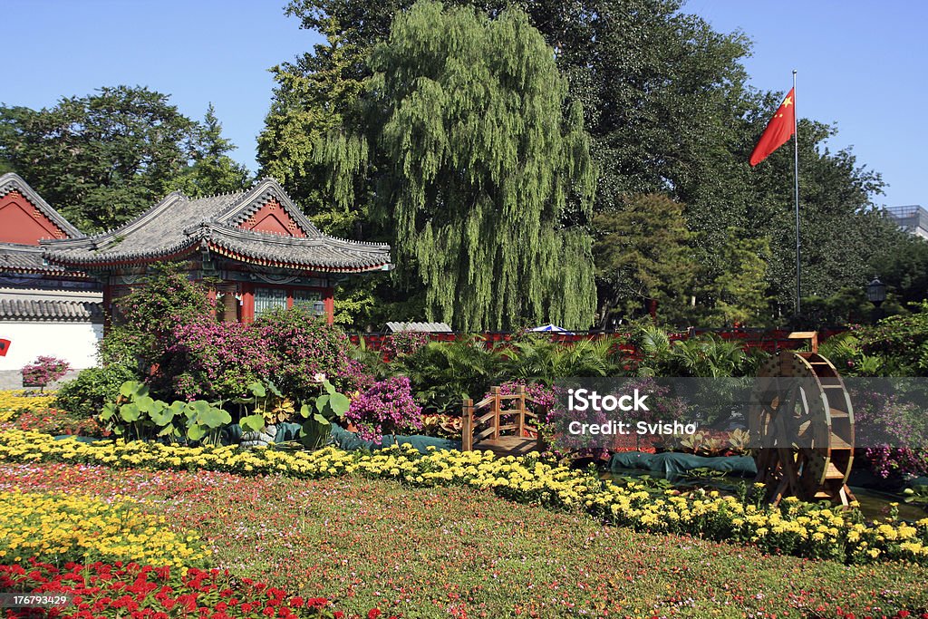 Primavera en el jardín chino - Foto de stock de Aire libre libre de derechos