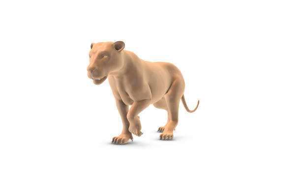 istock Walking animated lion on a white background 1767938263