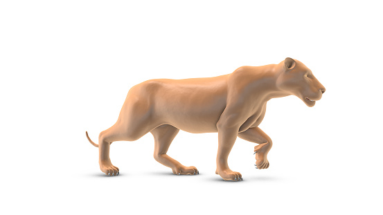 An animated loopable sequence of a lion walking on a white background provides a captivating and continuous visual display. This animation typically portrays the lion's movement in a way that seamlessly loops, creating a repetitive and continuous walking cycle.