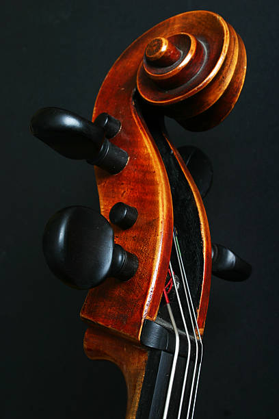 istock Neck of Cello 176793994