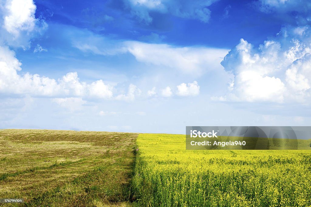 Paesaggio rurale tranquillo - Foto stock royalty-free di Agricoltura