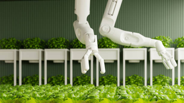 istock Smart robotic farmers concept,Agriculture technology automation 1767953321