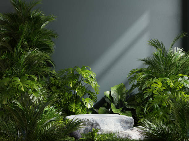 istock Stone platform in green room tropical green forest for product presentation 1767954504