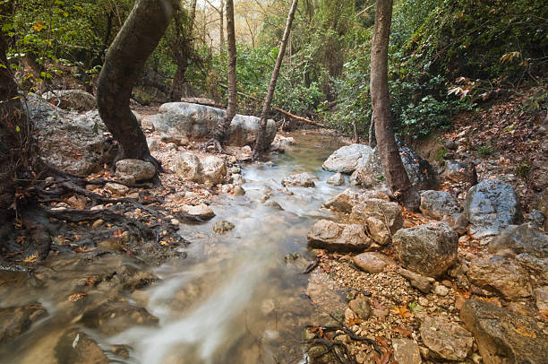 istock Kziv Stream, Western Galilee, Israel 176796315