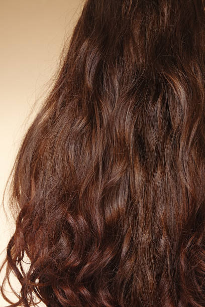 istock Healthy hair 176796498