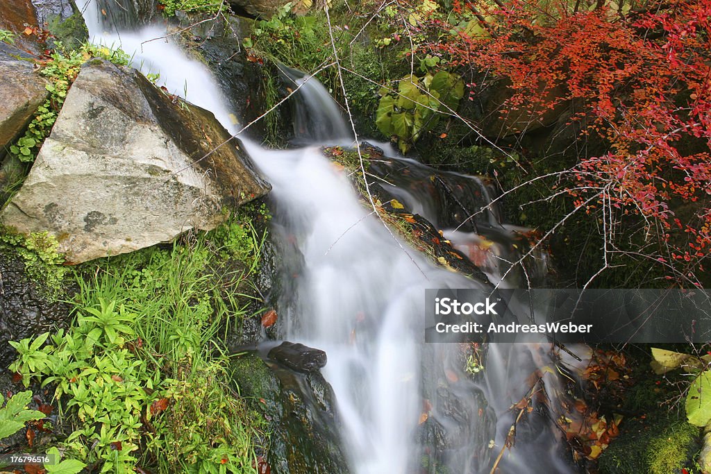 Catarata de turva - Royalty-free Amarelo Foto de stock