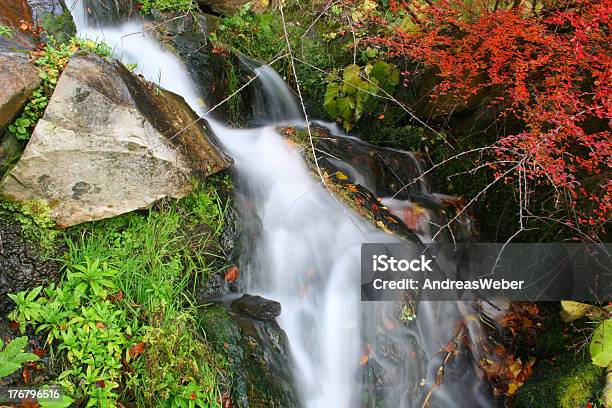 Catarata De Turva - Fotografias de stock e mais imagens de Amarelo - Amarelo, Ao Ar Livre, Beleza