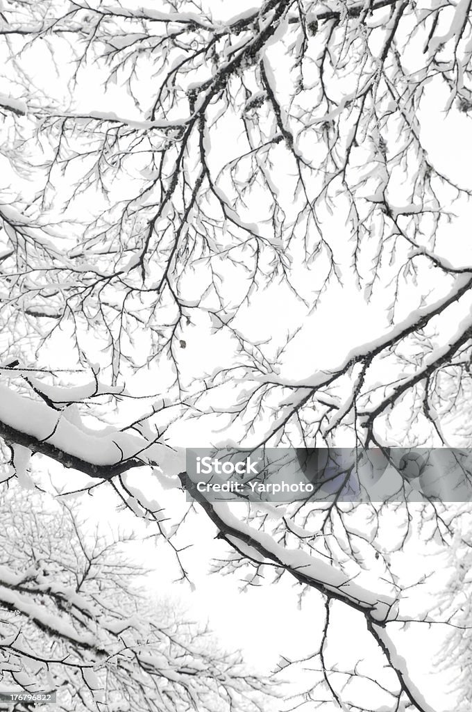 Snowy winter Abstract Stock Photo