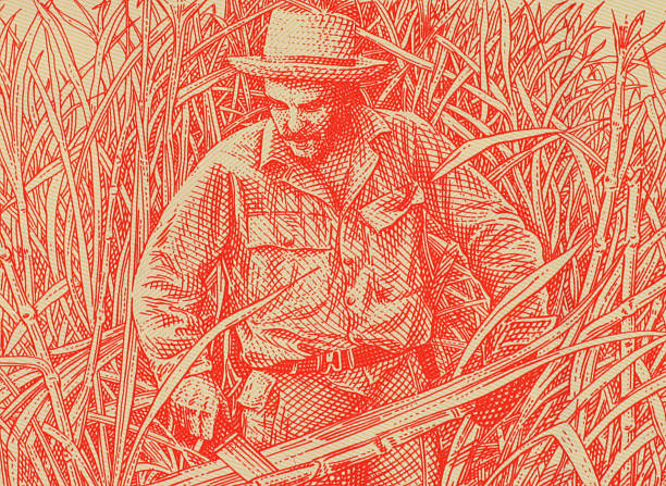 Ernesto Che Guevara in the Jungle stock photo